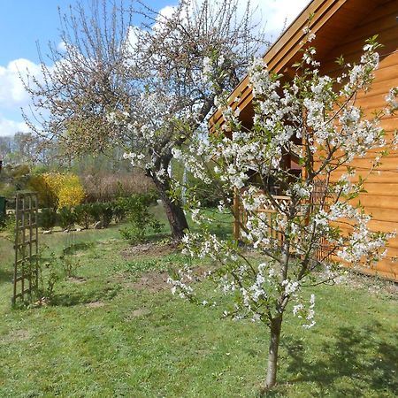 Ferienhaus Hensel Grosszerlang Luaran gambar